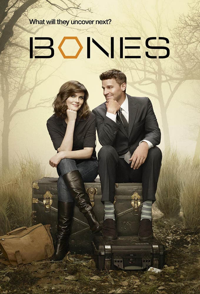 Poster for Bones