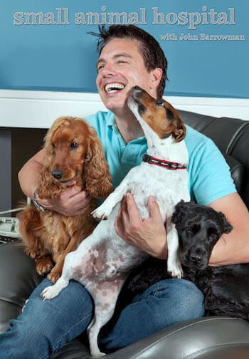 Poster for Small Animal Hospital